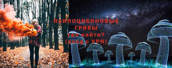 ПСИЛОЦИБИНОВЫЕ ГРИБЫ Нефтегорск